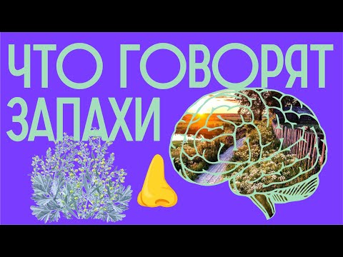 Видео: Почему аксон плохо пахнет?