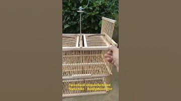 sangkar jebakan otomatis sangkar jebakan kutilang