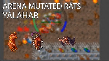 Knights | Arena Mutated Rats | Tibia