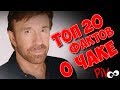 ТОП 20  ФАКТОВ о Чаке Норрисе / TOP 20 facts about Chuck Norris