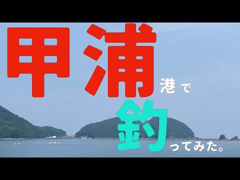 【カゴ釣り】40日目　甲浦港で釣ってみた【撃沈】