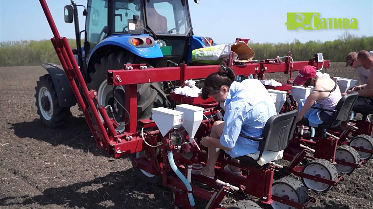 Сатива - посев селекционного питомника