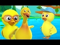 Fünf kleine Enten | Kinderreim | Educational Video | Kids Rhyme | Preschool Poem | Five Little Ducks