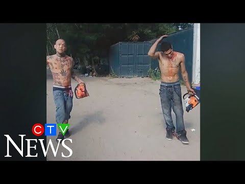 Bloodied men carrying chainsaws arrested at a popular Toronto beach