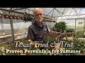 TX Tried & True Perennials for Summer (Part 1)