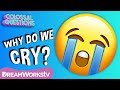 Understanding Tears and Crying