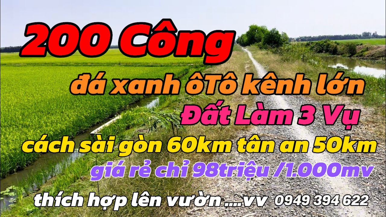 (Số 627) 200 Công Giá Rẻ - Vị Trí Đẹp Hiện Hữu / Tại Thạnh Hoá Long An