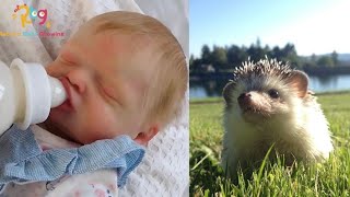 картинка: Наше утро с реборном. Обзор на новые вещи, на природе 💚кормим ёжика🦔
