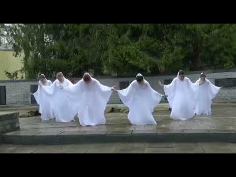 Танец "Журавли". "Эксклюзив", г. Бор Нижегор. обл., реж. Шмелёва И. В. 2022 г.