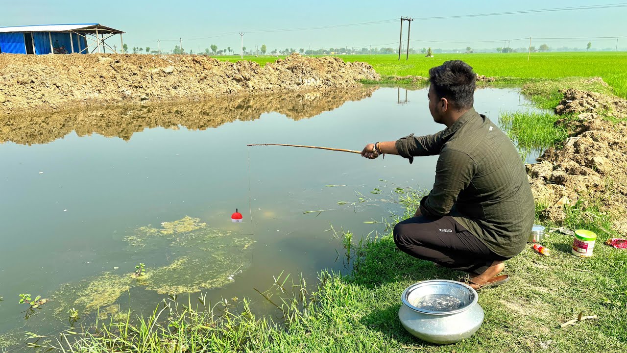 Fishing Video || Expert skilled boy is fishing in the village deep canal using hook || hook fishing 