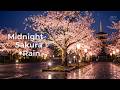Quiet Sakura Rain at Night — Deep Focus Ambient (Calm & Minimal, 1 Hour)