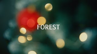 [FOREST] The Christmas Song