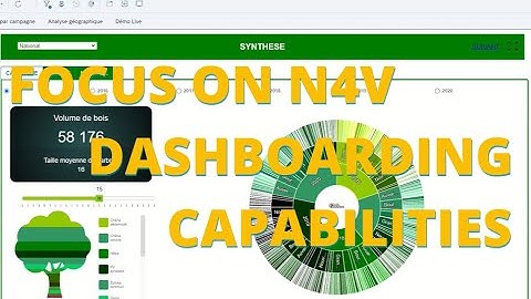 Presentation Need4Viz Dashboarding EN