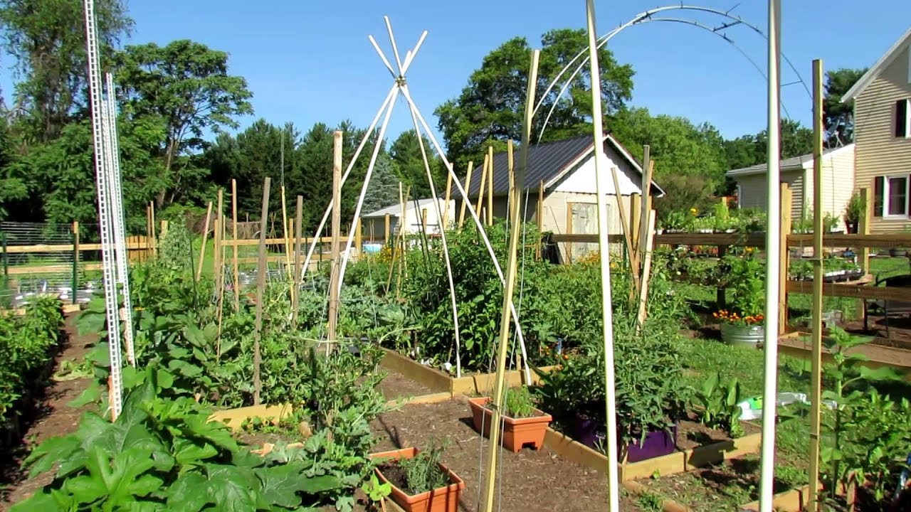 tour 11 2019 trg homestead 2 new trellis arch designs first large harvest from my garden tips garden arch designs