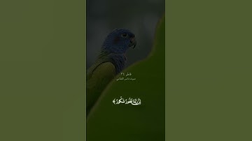 سورة فاطر ( الاية ٣٤ ) بصوت ناصر القطامي #قرآن