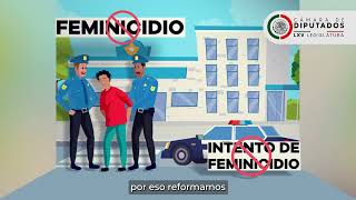 Pena por feminicidio y feminicidio en grado de tentativa.
