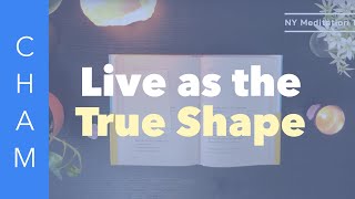 ‘Live As The True Shape’ From The Way To Become A Person In Heaven While Living By Teacher Woo Myung