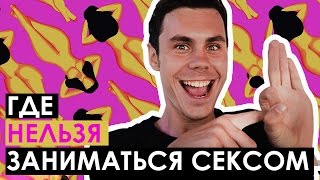 Где нельзя заниматься сексом? - ТОПЛЕС(Почему плейбой нагло врёт? Что будет если заняться сексом на пляже? А в бассейне? А может быть в лесу? НЕТ!!!..., 2015-02-24T19:28:34.000Z)