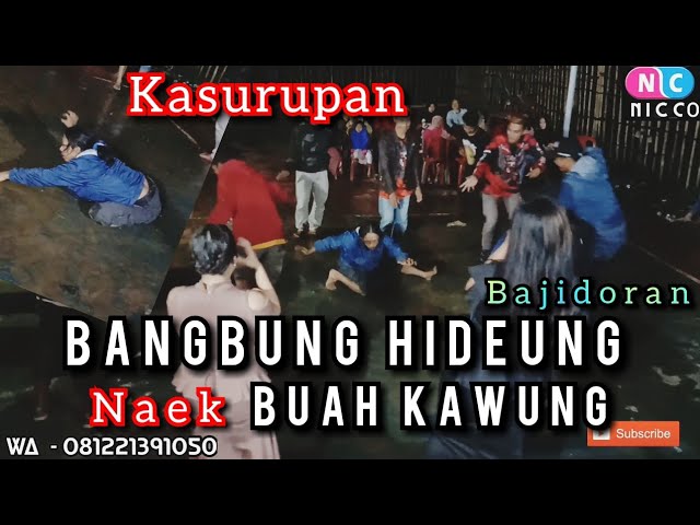 BANGBUNG HIDEUNG NAEK BUAH KAWUNG BAJIDORAN class=