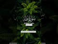 Surah Taha Ayat 97-102 Urdu Translation ❤️...@the-divine-revelation #quranictranslation