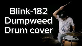 Blink-182 - Dumpweed / beldrums_ru (drum cover)