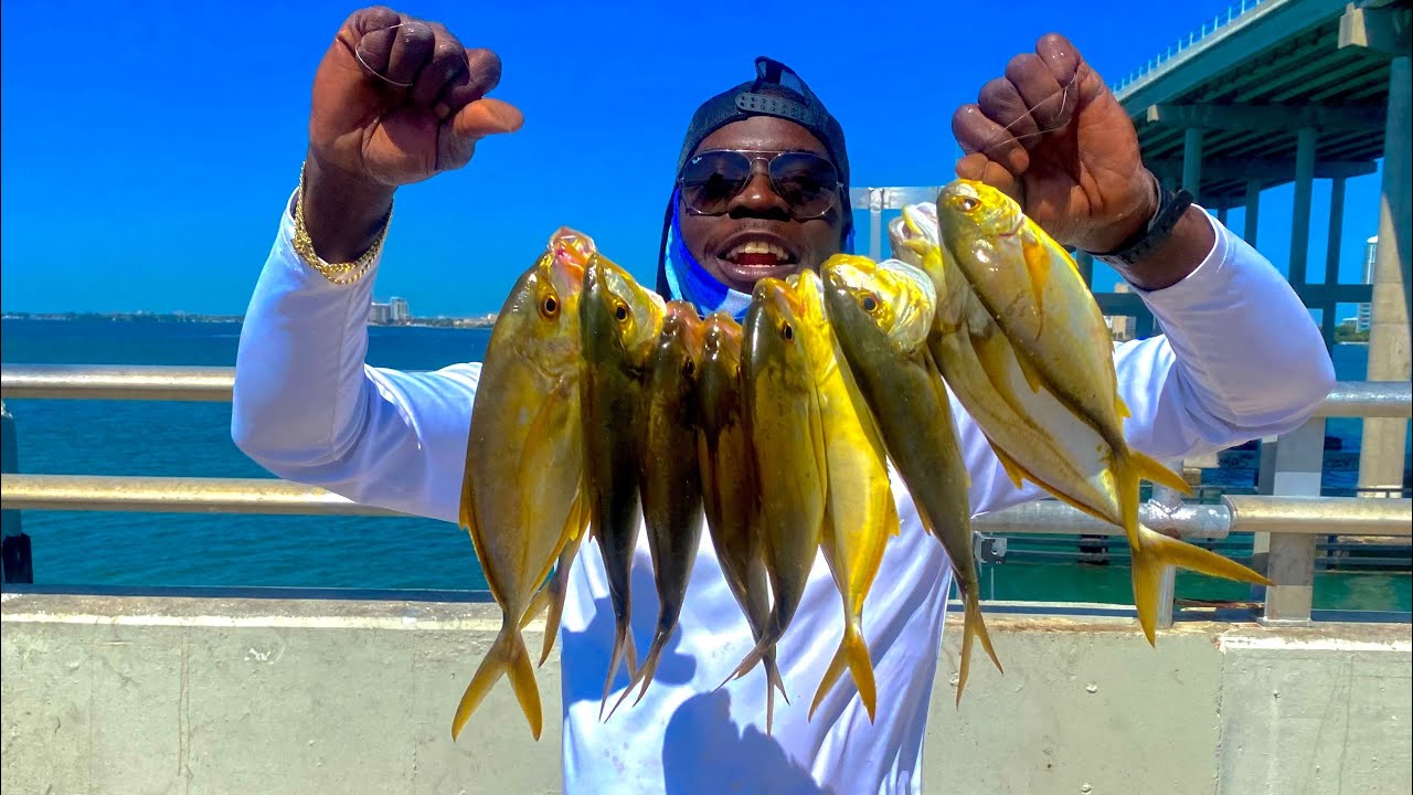 Catching TONS of Yellow Jack NONSTOP Mangrove SNAPPER FISHING YouTube
