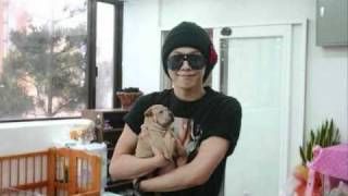 Big Bang playing with dogs, really cute!