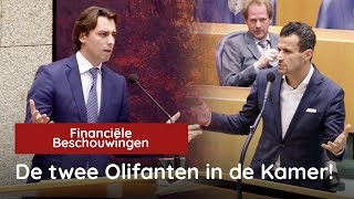 De twee Olifanten in de Kamer