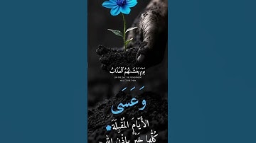 #المصحف #اكسبلور تلاوة خاشعة صوت جميل #viral #لايك #quran #راحة_نفسية
