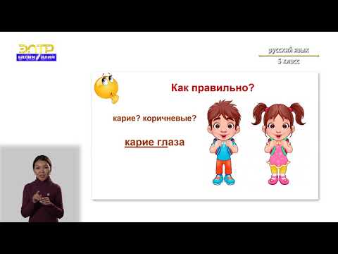 5-класс  | Pусский язык | Cинонимы и антонимы