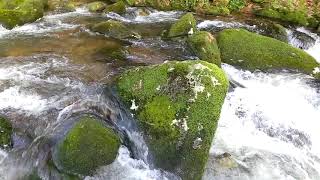 VIDEO FERVENZA DE SANTA LEOCADIA