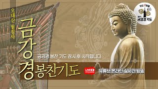 금강경 봉찬 저녁 온라인 기도 | 2025 을사년 6월 17일 화요일 저녁 6:30~8:00