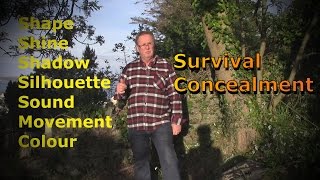Celebrity Survival concealment. The basic recommendations for evasion. Camouflage Profile