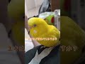 SASUKEって久々に聞いた主