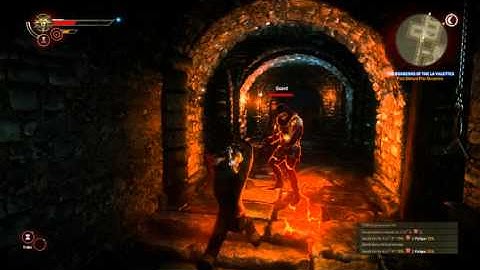 The Witcher 2 Assassin