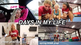 COLLEGE DAYS IN MY LIFE | spring break prep, class, cheer & more!