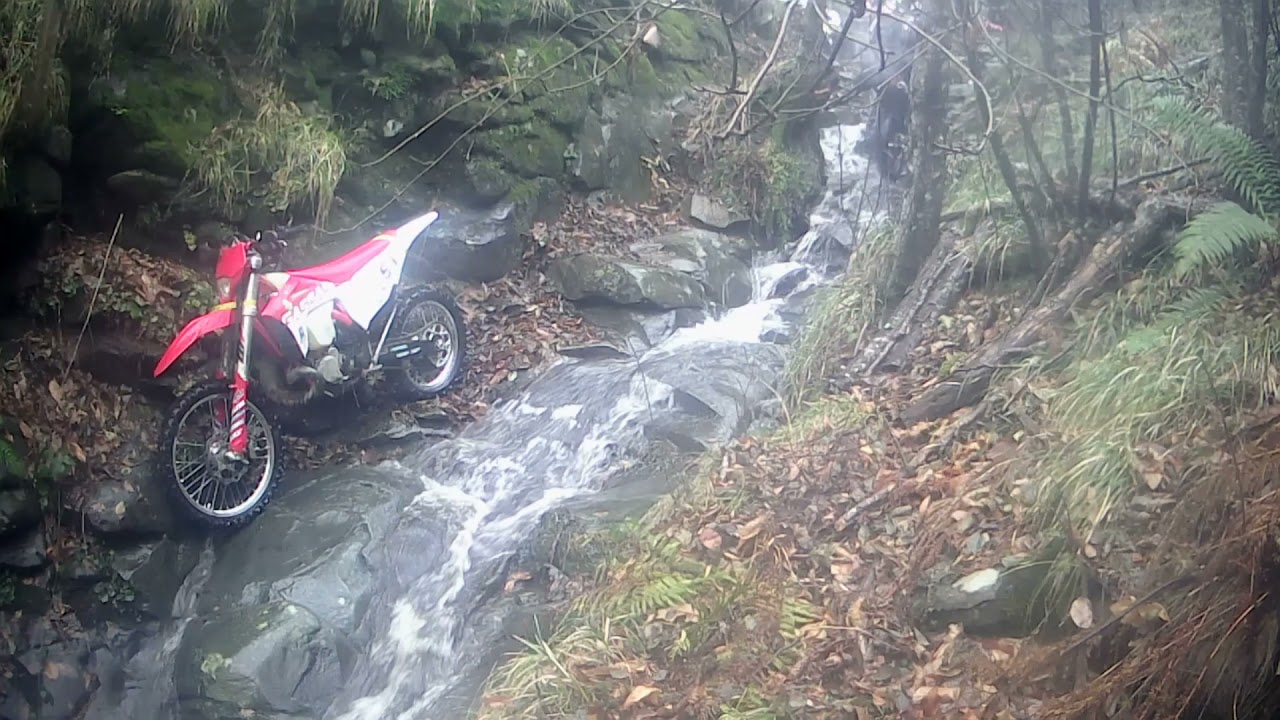 Un sabato con Michele Bosi