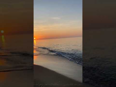 وعشانه كله يهون خناقته تخلص بمراضيه
