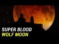 The rare Super Blood Wolf Moon is about to happen on January 21