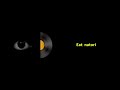 なとり - Eat(U-next) [한글번역/가사해석]