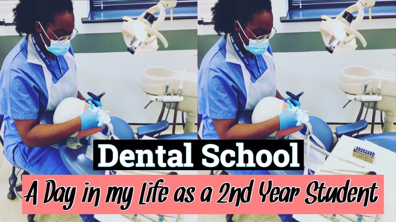 Day In The Life Of A Dental Student | UK | UCLAN - YouTube