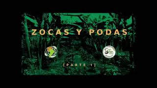 Zocas y Podas, Recomendaciones para productores cafeteros orgánicos