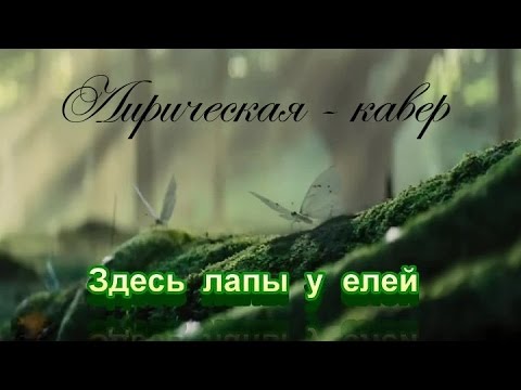 Высоцкий лапы слушать