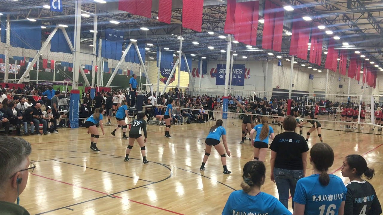 Alyssa Riddle Volleyball 2020 Highlights - YouTube