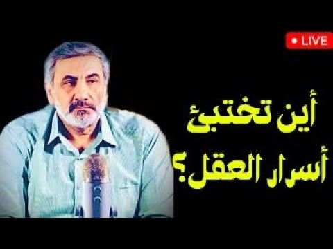أين تختبئ أسرار العقل فلسفة دينيت وريكور وهايدغر عن الذاكرة والتفكير