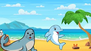 WE LEARN ABOUT DOLPHINS AND SEALS TOGETHER!! #dolphin #seals