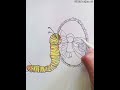 When someone stops seeing your whorthyou learn to see it#shortvideo#official sanjana art #videoviral