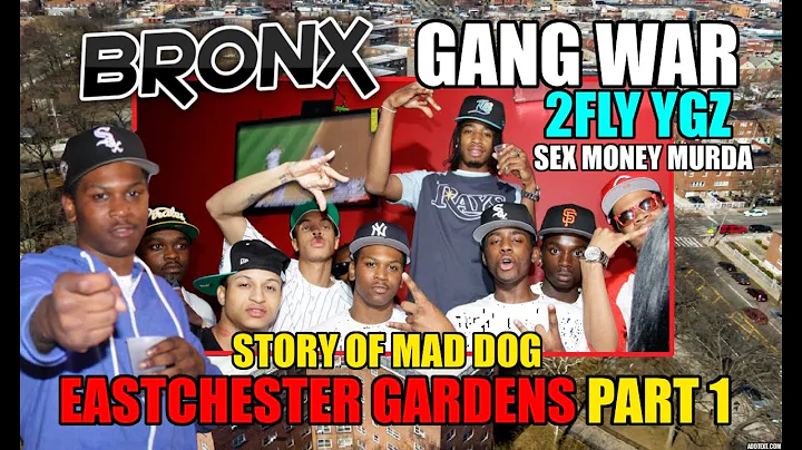 Bronx Gang War - 2fly YGz (ECG) vs BMB Ybz - Eastc...