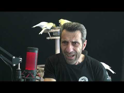 ΤΕΛΙΚΑ ΕΙΝΑΙ ΑΡΣΕΝΙΚΟ