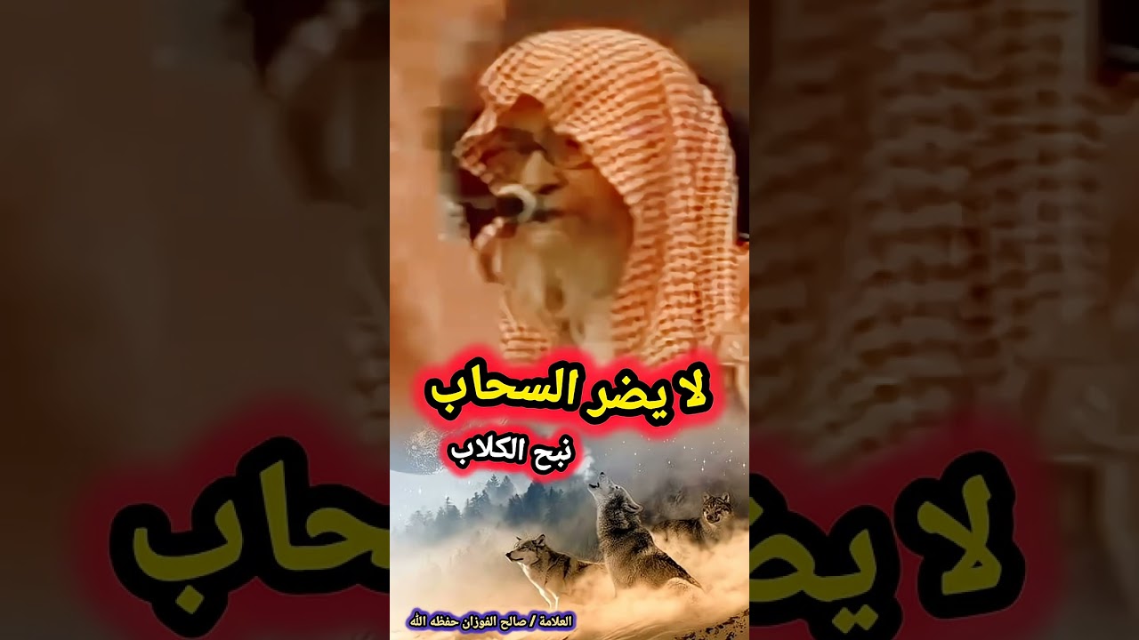 أفضل رد قد تسمعه للعلامة صالح الفوزان على من يقدحون في الصحابه رضي الله عنهم